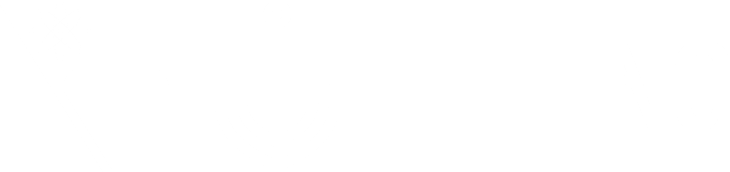 Logo Lifting Group